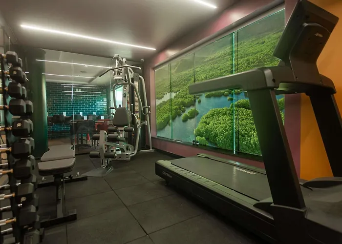 Ibis Styles Belem Batista Campos